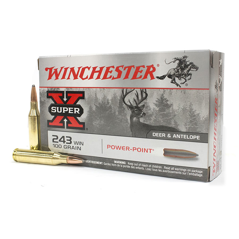 Mun. Winchester 243 Win 100 Gr PP