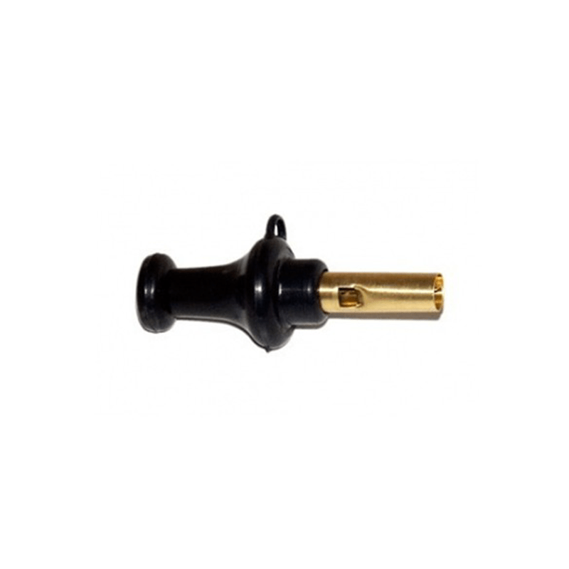 Tordo-Boca-Preto_lojaamster
