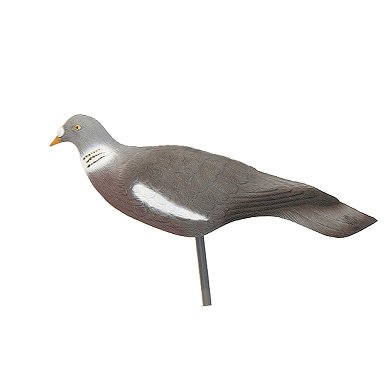 Pombo capa