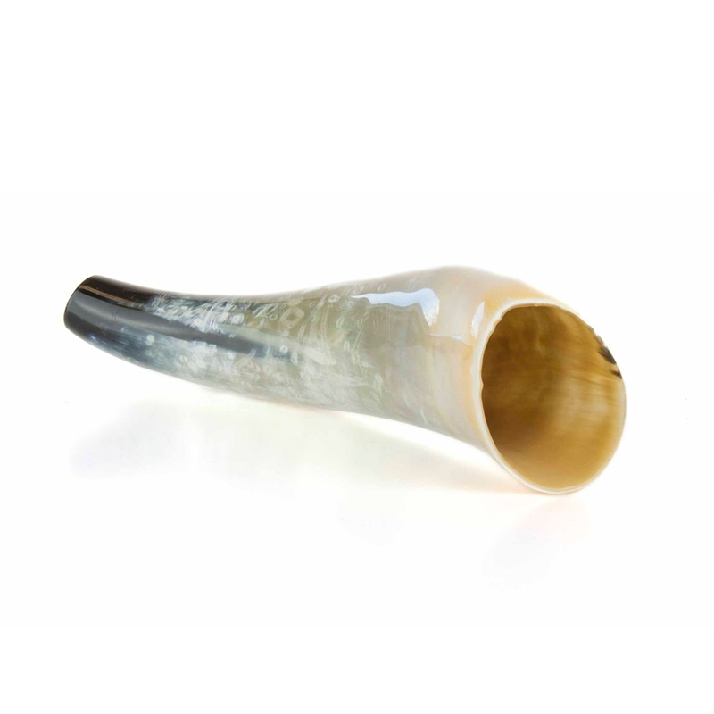 Chamariz Corno Veado 40cm