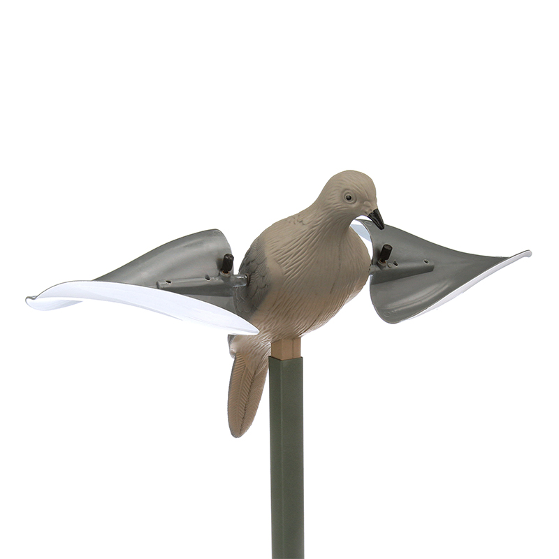 Pombo  Asas ao Vento