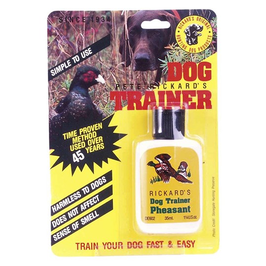 Treino Cães- Raposa