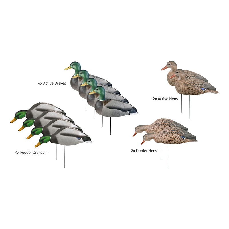 Pato Real pack 6