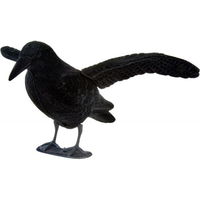 Negaça Corvo c/ asas