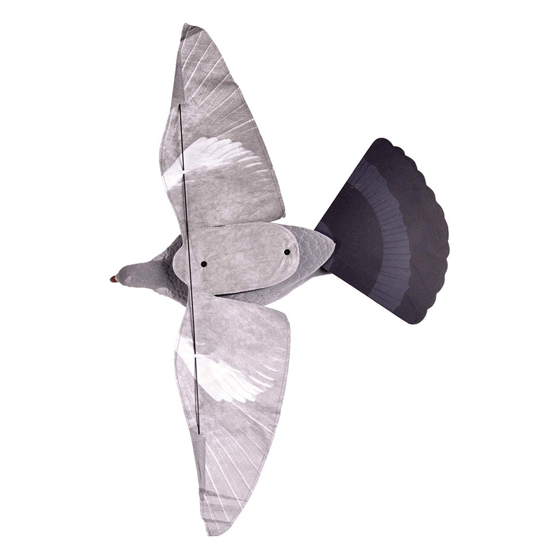 Pombo asa vento