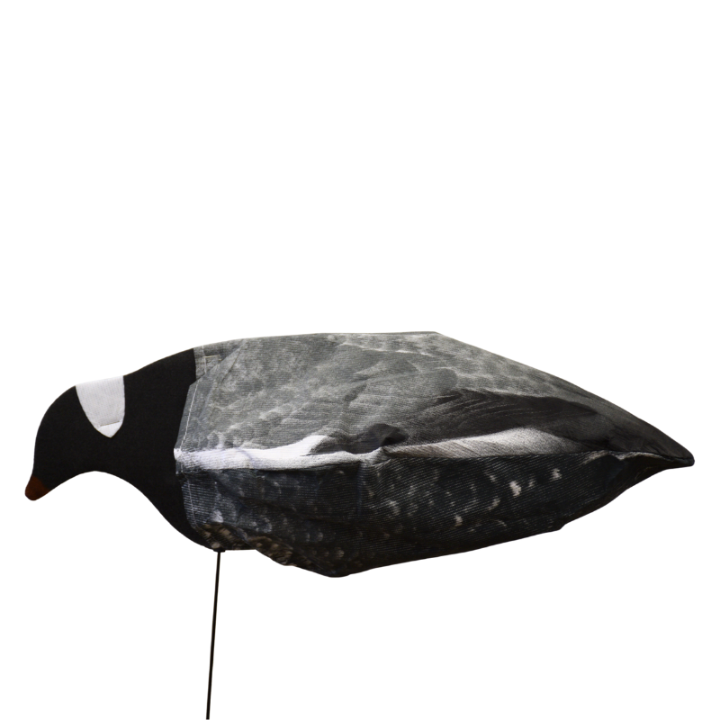 Pombo cabeça baixa