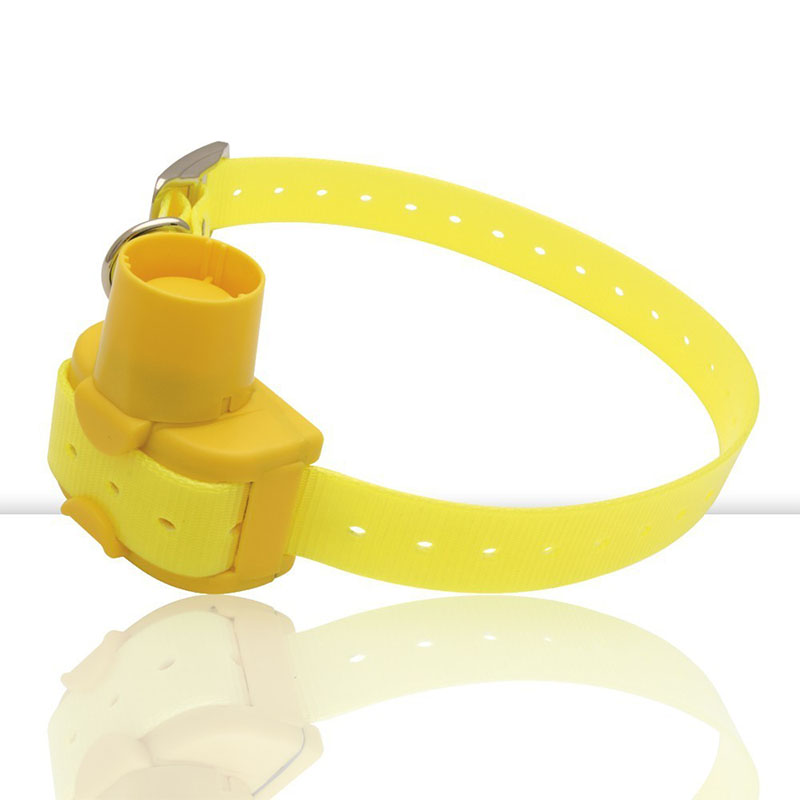 Colar Galinhola "Mini Beeper"