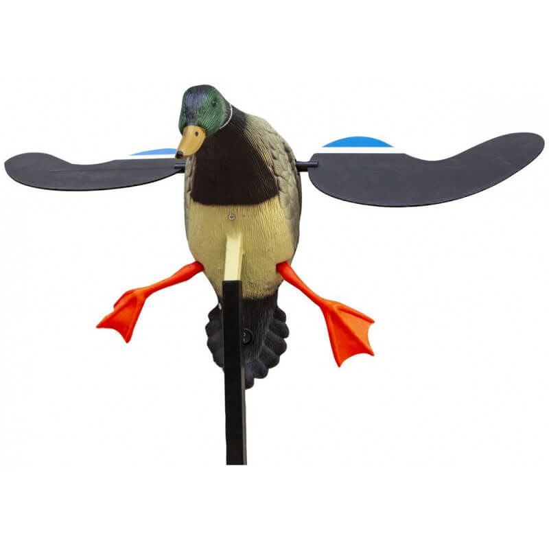 Pato Asas ao Vento Elétrico