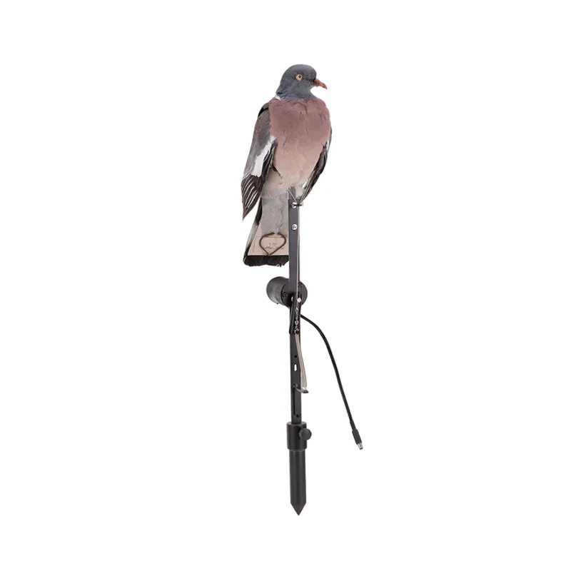 Pombo Negaça Embalsamado Eletrónico
