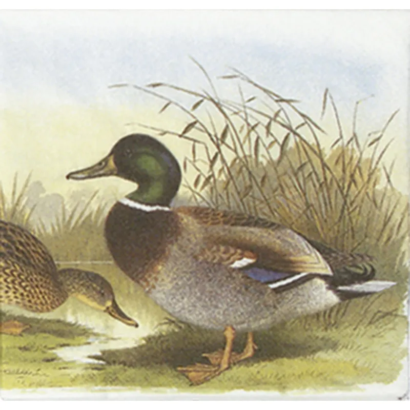 Guardanapo Papel Pato