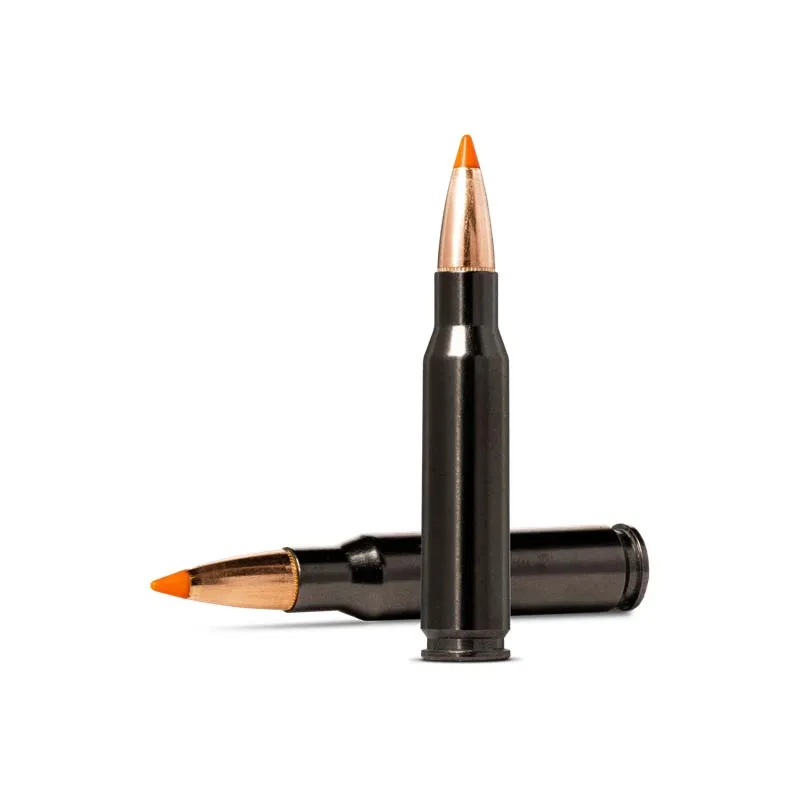 Mun. Norma 308Win. 170gr TipStrike Silencer
