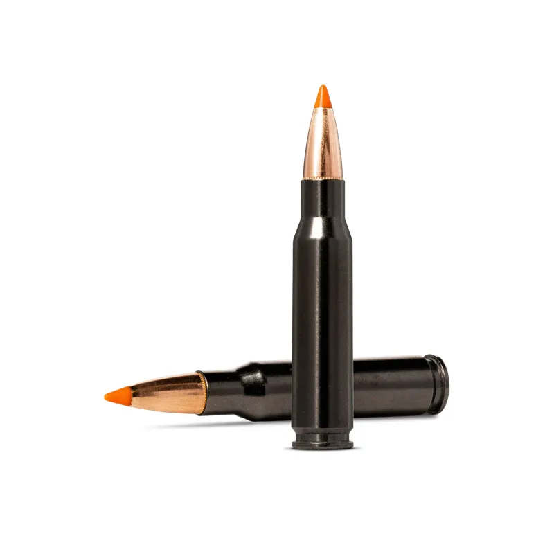 Mun. Norma 308Win. 170gr TipStrike Silencer